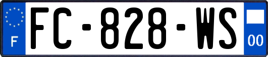 FC-828-WS