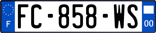 FC-858-WS