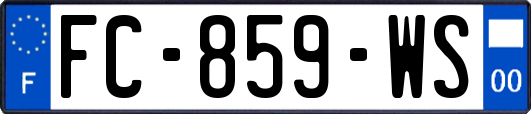 FC-859-WS