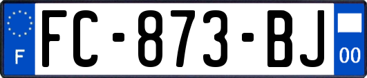 FC-873-BJ