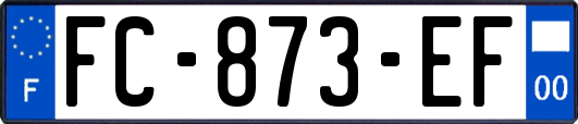 FC-873-EF