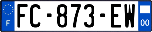 FC-873-EW