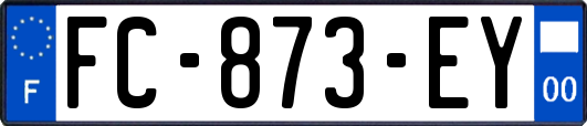 FC-873-EY