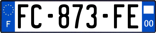 FC-873-FE