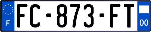 FC-873-FT