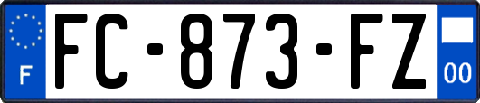 FC-873-FZ
