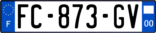 FC-873-GV