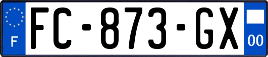 FC-873-GX