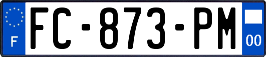 FC-873-PM