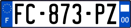 FC-873-PZ