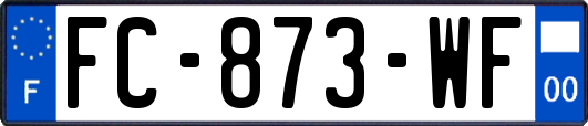 FC-873-WF