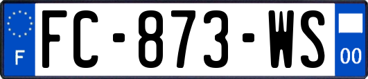 FC-873-WS