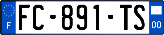 FC-891-TS