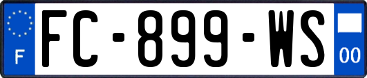 FC-899-WS