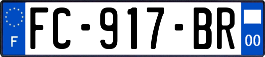 FC-917-BR