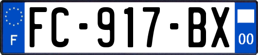 FC-917-BX