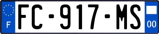 FC-917-MS