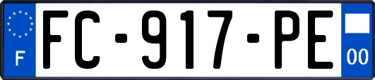 FC-917-PE