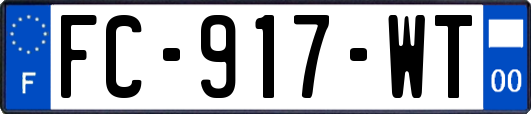 FC-917-WT