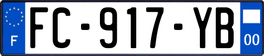 FC-917-YB