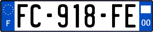 FC-918-FE