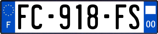 FC-918-FS