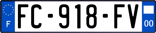 FC-918-FV