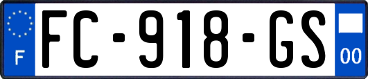 FC-918-GS