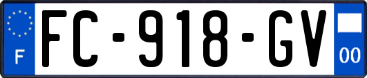 FC-918-GV