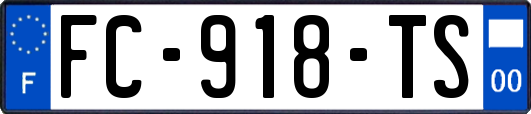 FC-918-TS