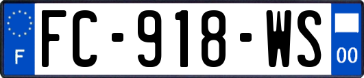 FC-918-WS