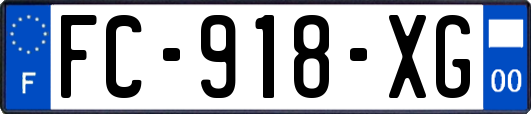 FC-918-XG
