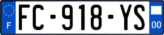 FC-918-YS