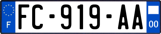 FC-919-AA