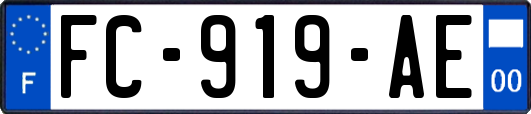 FC-919-AE