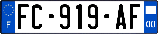FC-919-AF