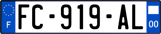 FC-919-AL