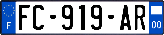 FC-919-AR