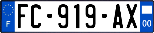 FC-919-AX