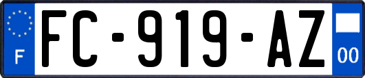 FC-919-AZ