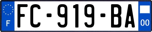 FC-919-BA