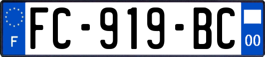 FC-919-BC