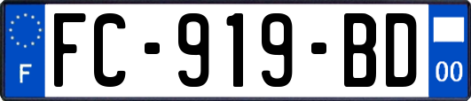 FC-919-BD