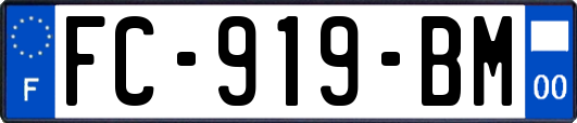 FC-919-BM