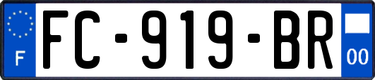 FC-919-BR