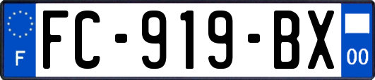FC-919-BX