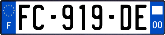 FC-919-DE