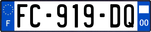 FC-919-DQ