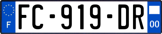 FC-919-DR