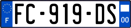 FC-919-DS